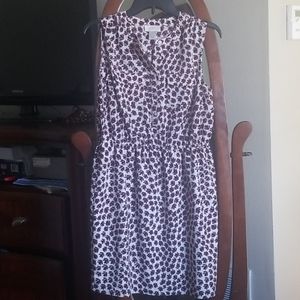 Perfect dress for the office